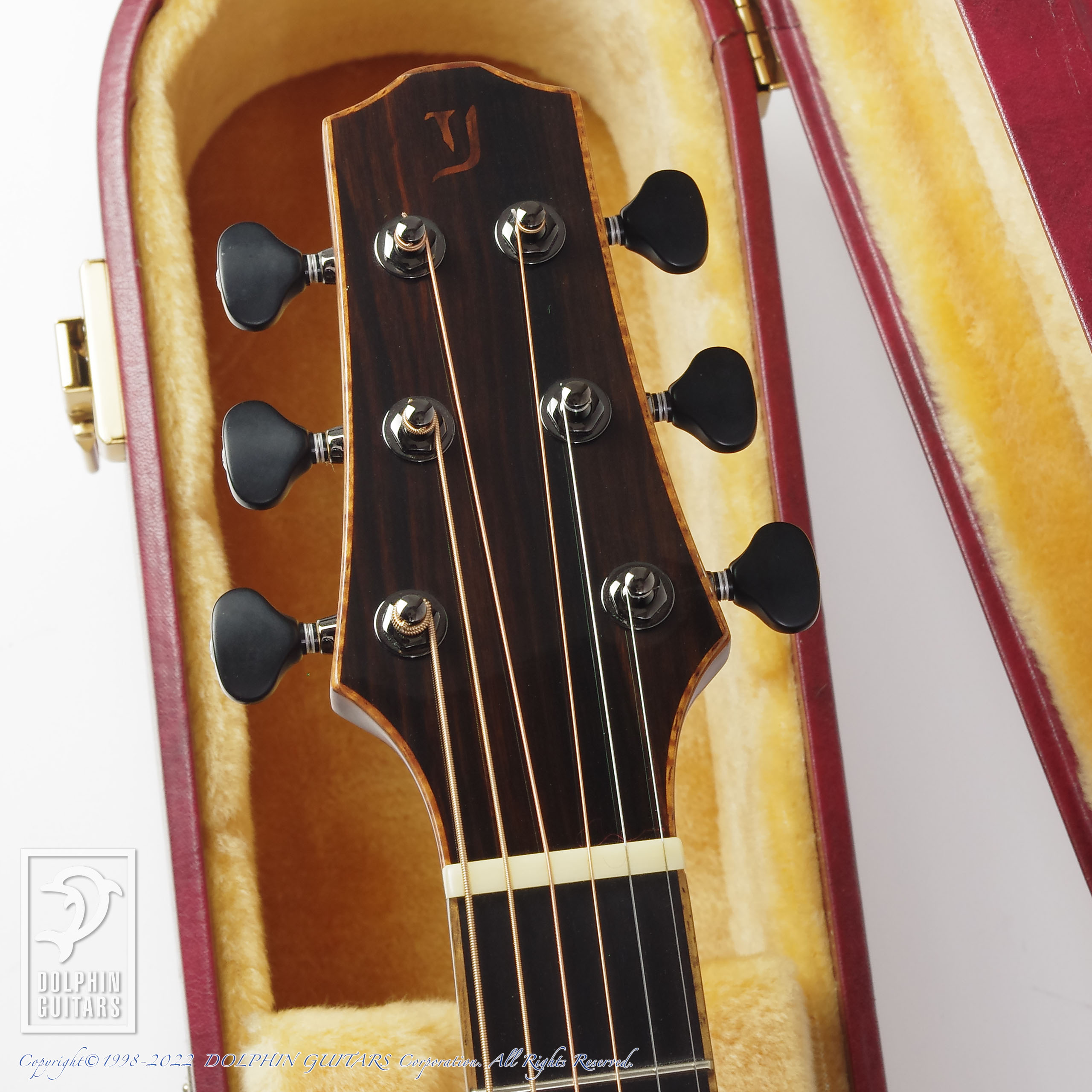 YOKOYAMA GUITARS AR-GCW 