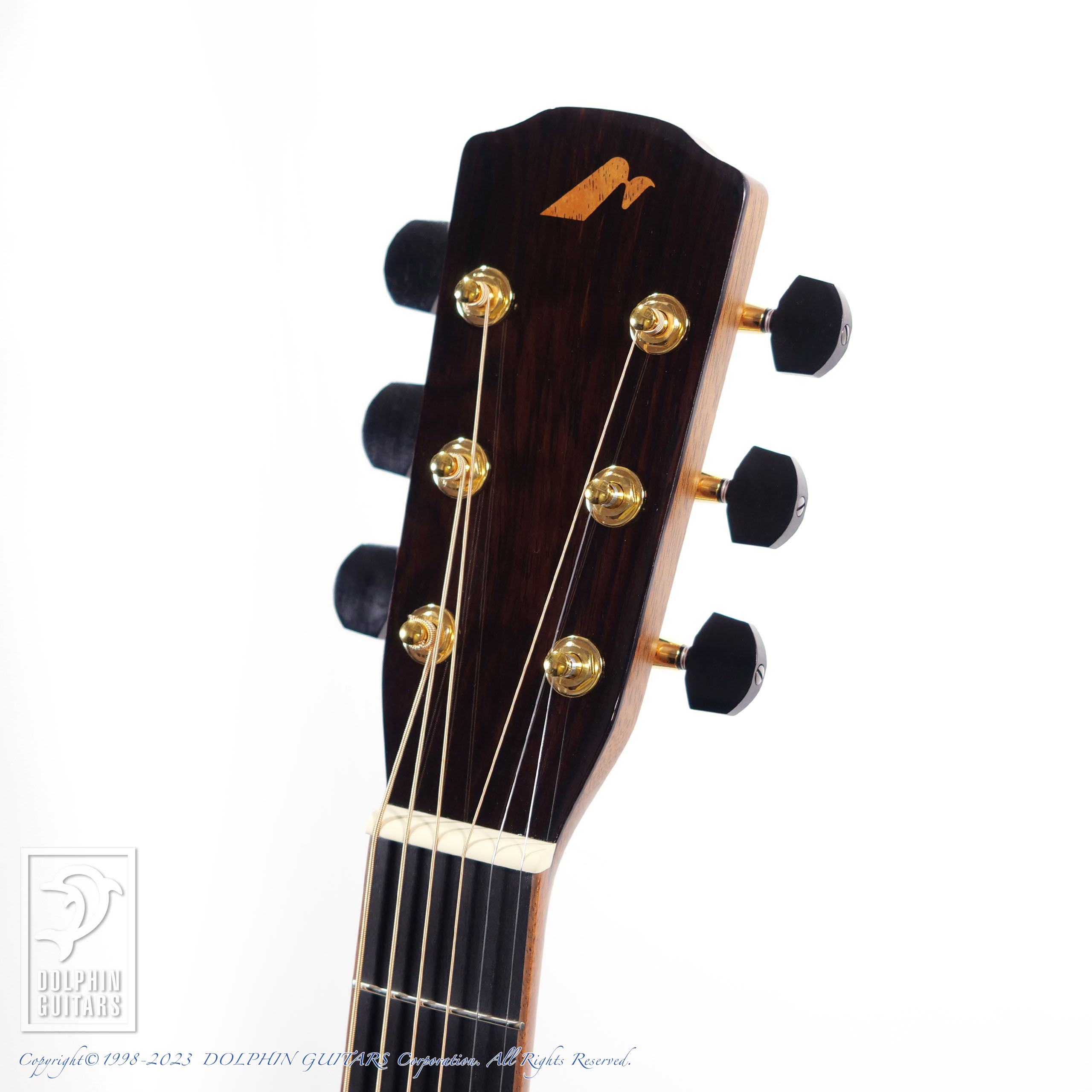 Morris S-LTD SoundMesse 2023 限定モデルtgakki - アコースティックギター