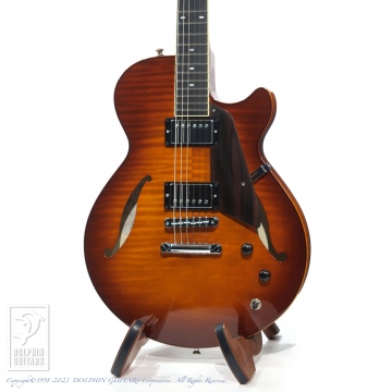 172 Semi Hollow Model (SNB)