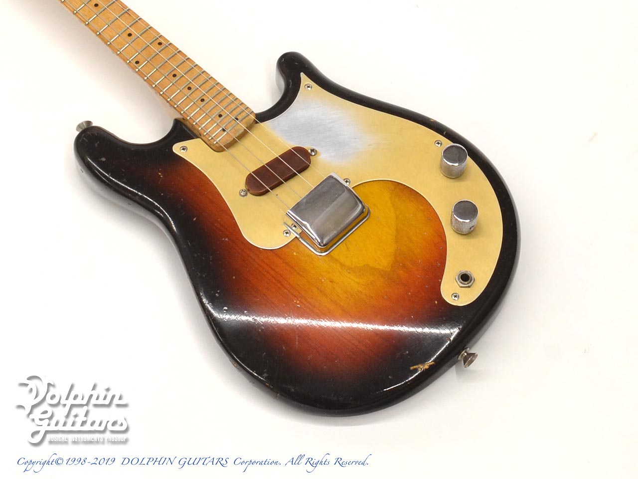 FENDER USA Mandocaster（Electric Mandolin）|ドルフィンギターズ