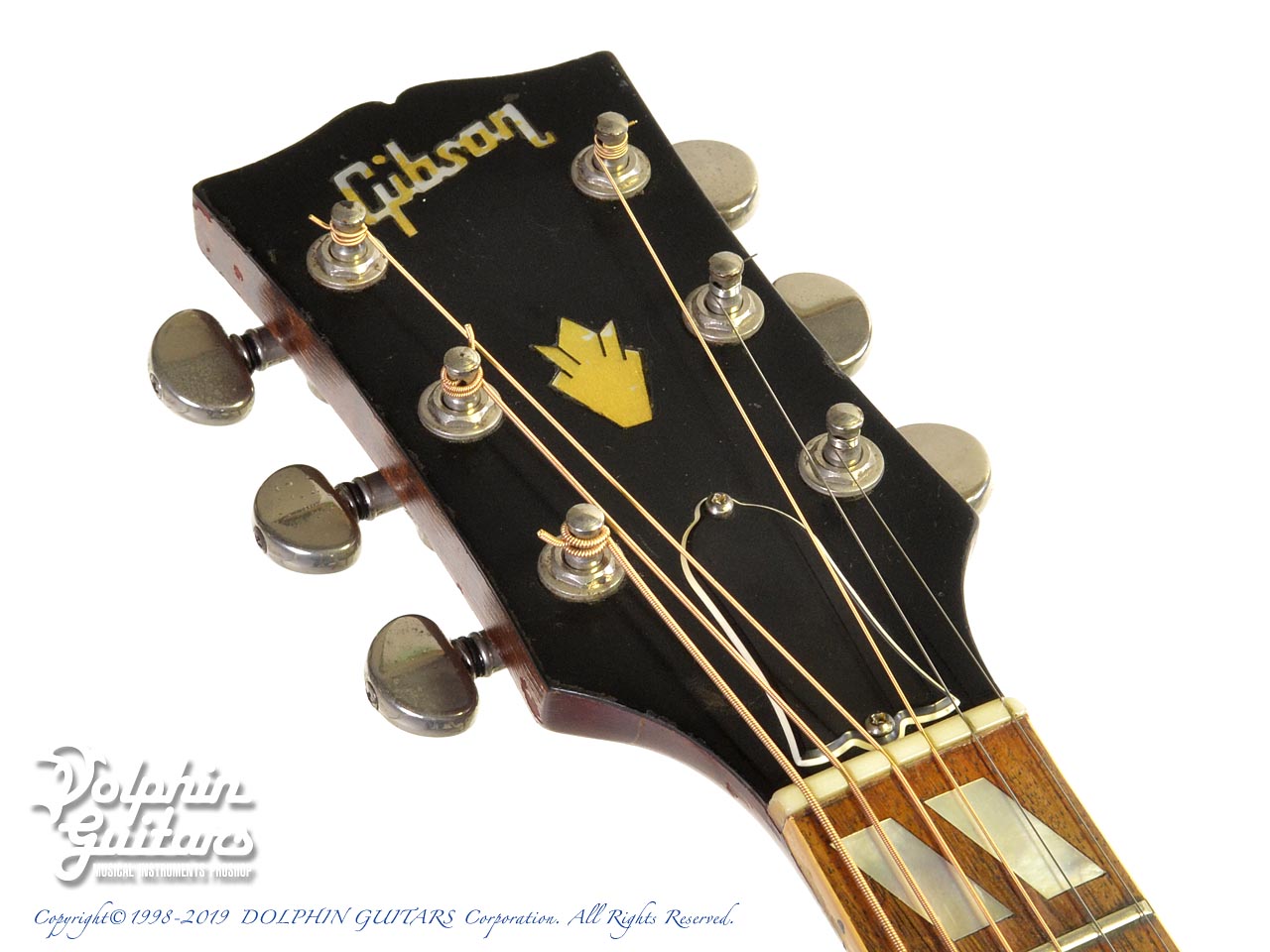 Gibson Dove|ドルフィンギターズ
