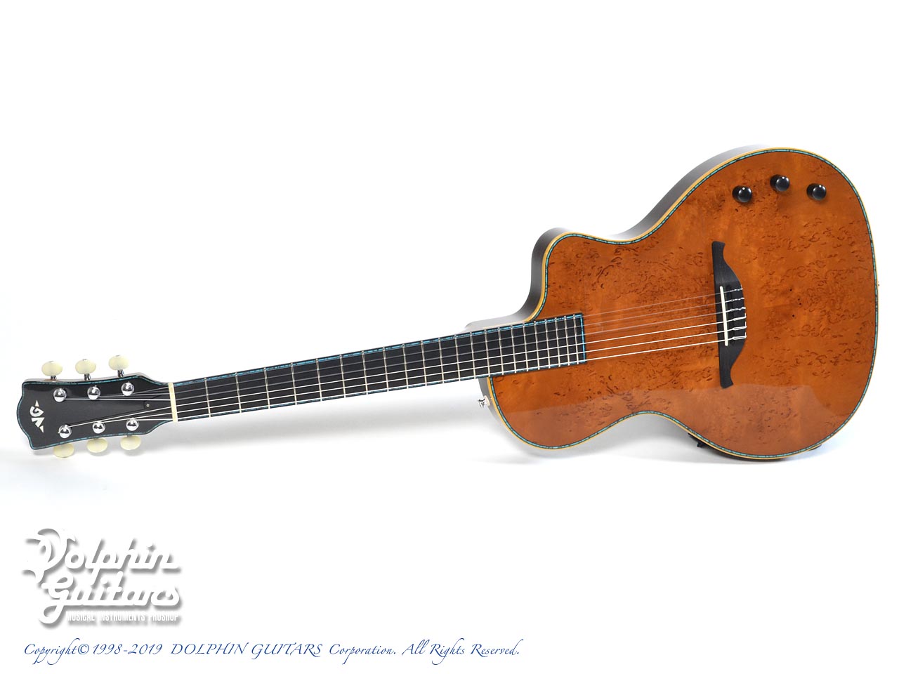 エレアコ ギター VG : EAR-01(SW) - 弦楽器、ギター