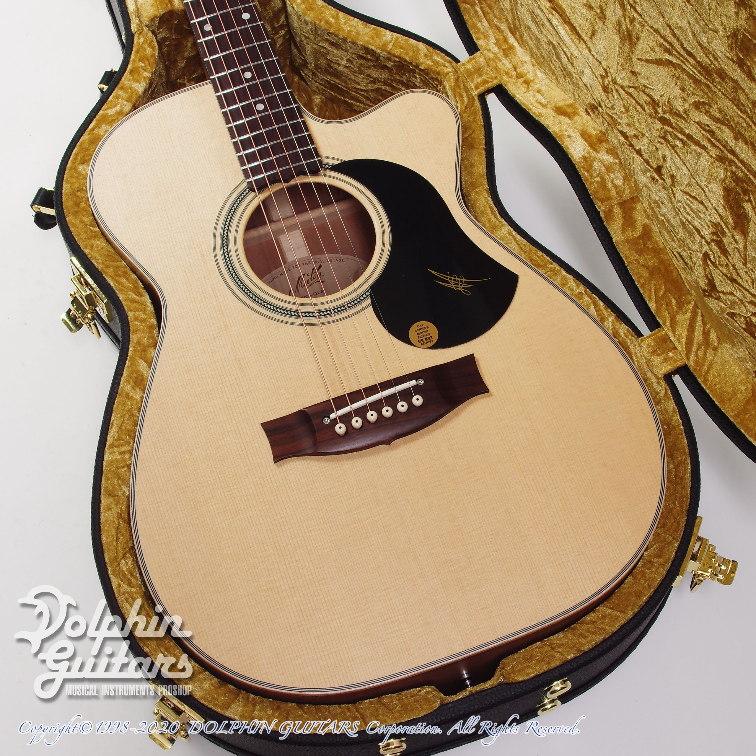 MATON Joe Robinson Signature|ドルフィンギターズ