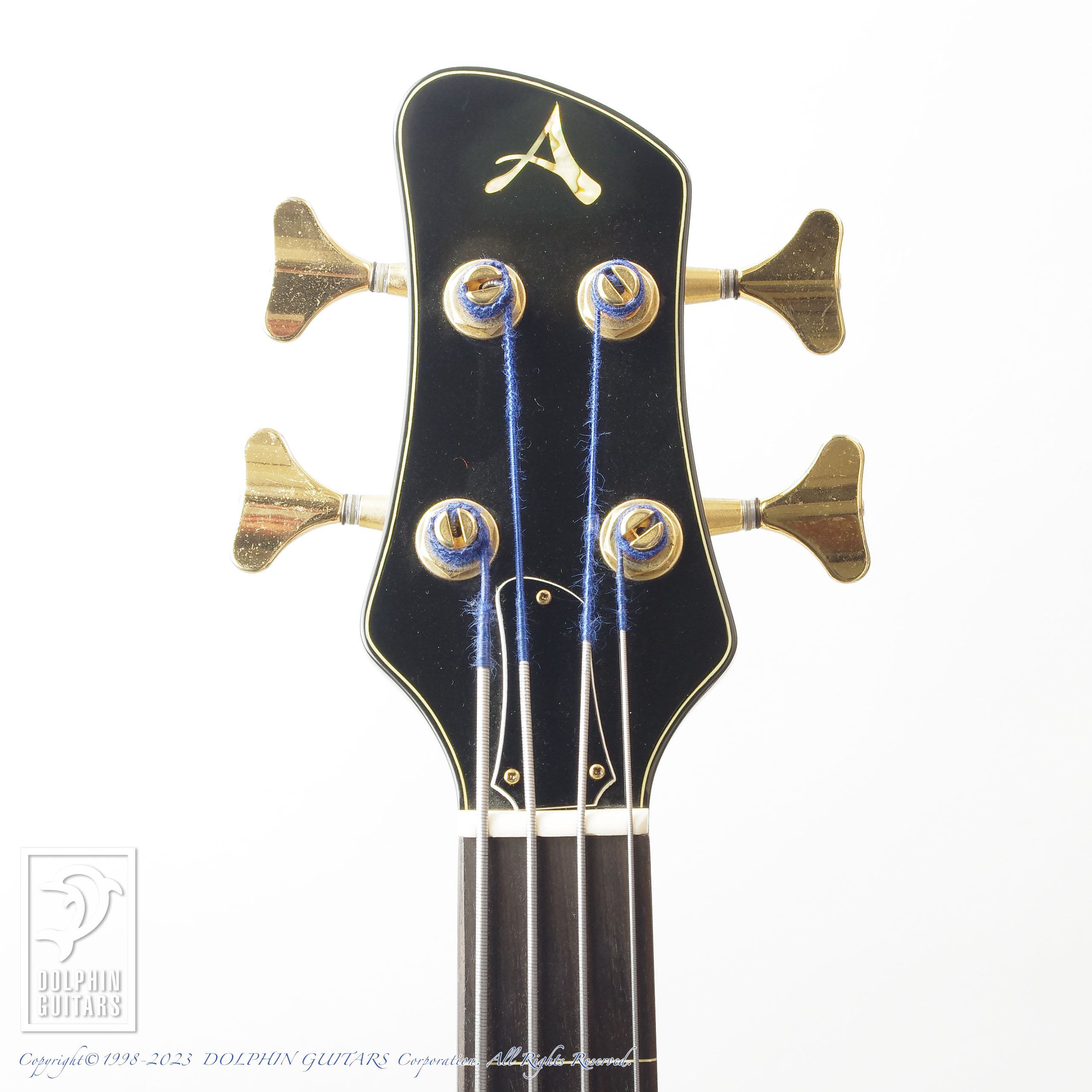 ATHLETE AX-4 FL (Fretless Acoustic Bass)|ドルフィンギターズ