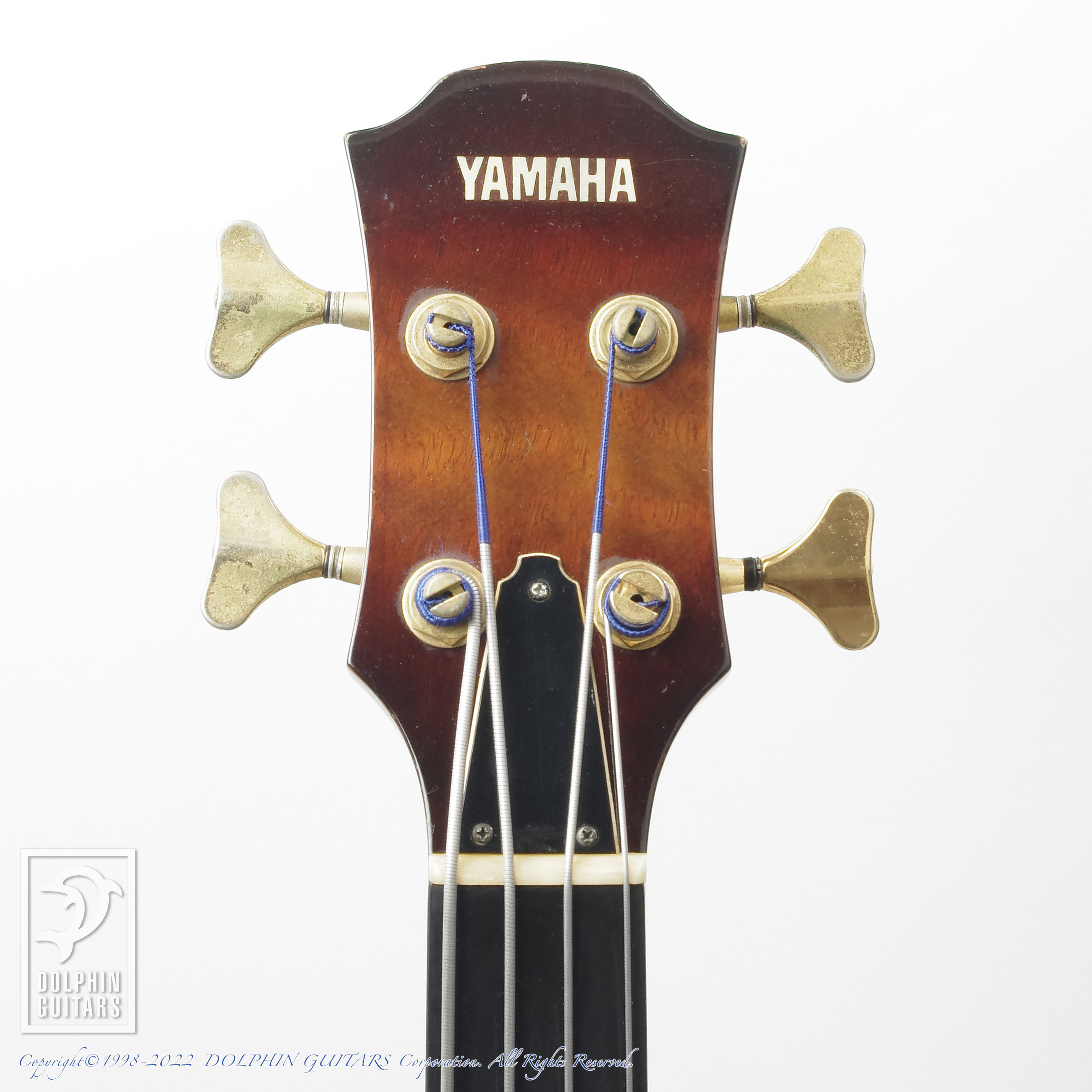 YAMAHA APX-B12F (Acoustic Bass)|ドルフィンギターズ
