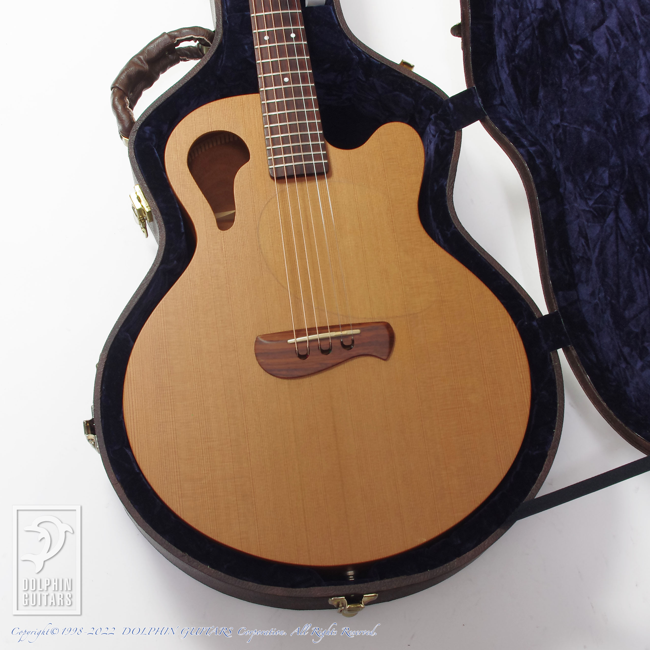 大切な TACOMA Guitar C1C made タコマ made in USA 楽器・機材