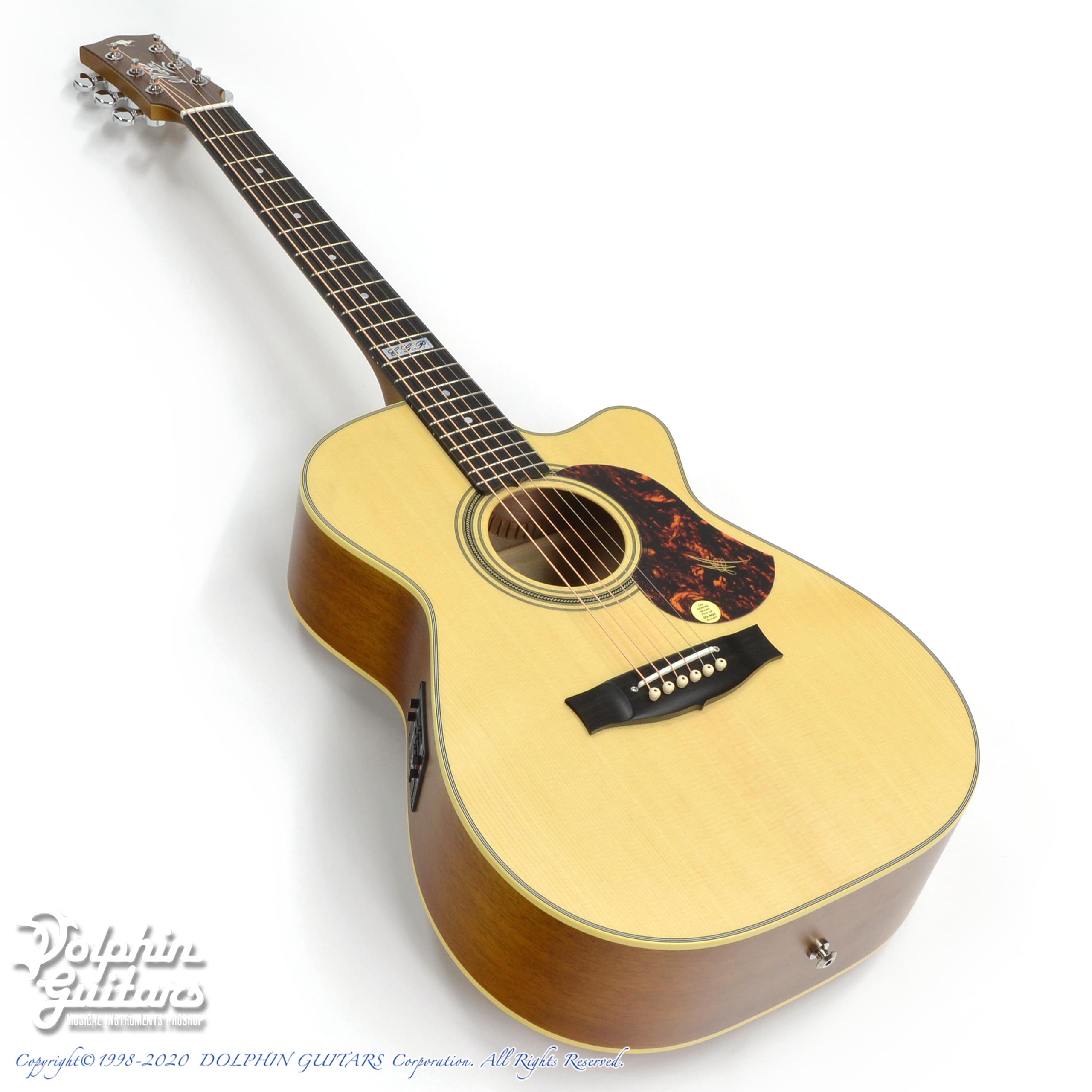 MATON EBG808CTE (Tommy Emmanuel Signature)|ドルフィンギターズ