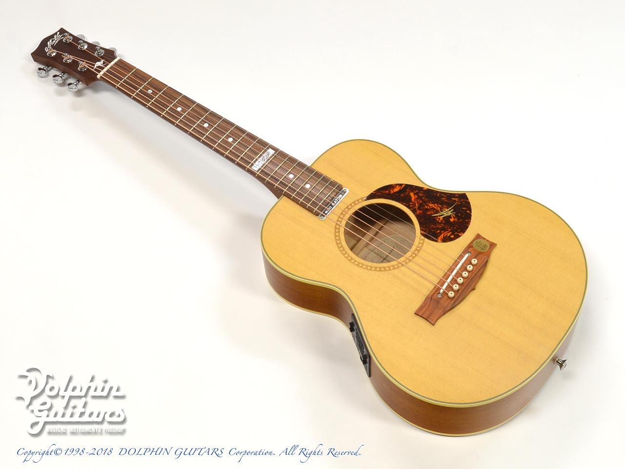 MATON EMTE (Tommy Emmanuel Signature)|ドルフィンギターズ