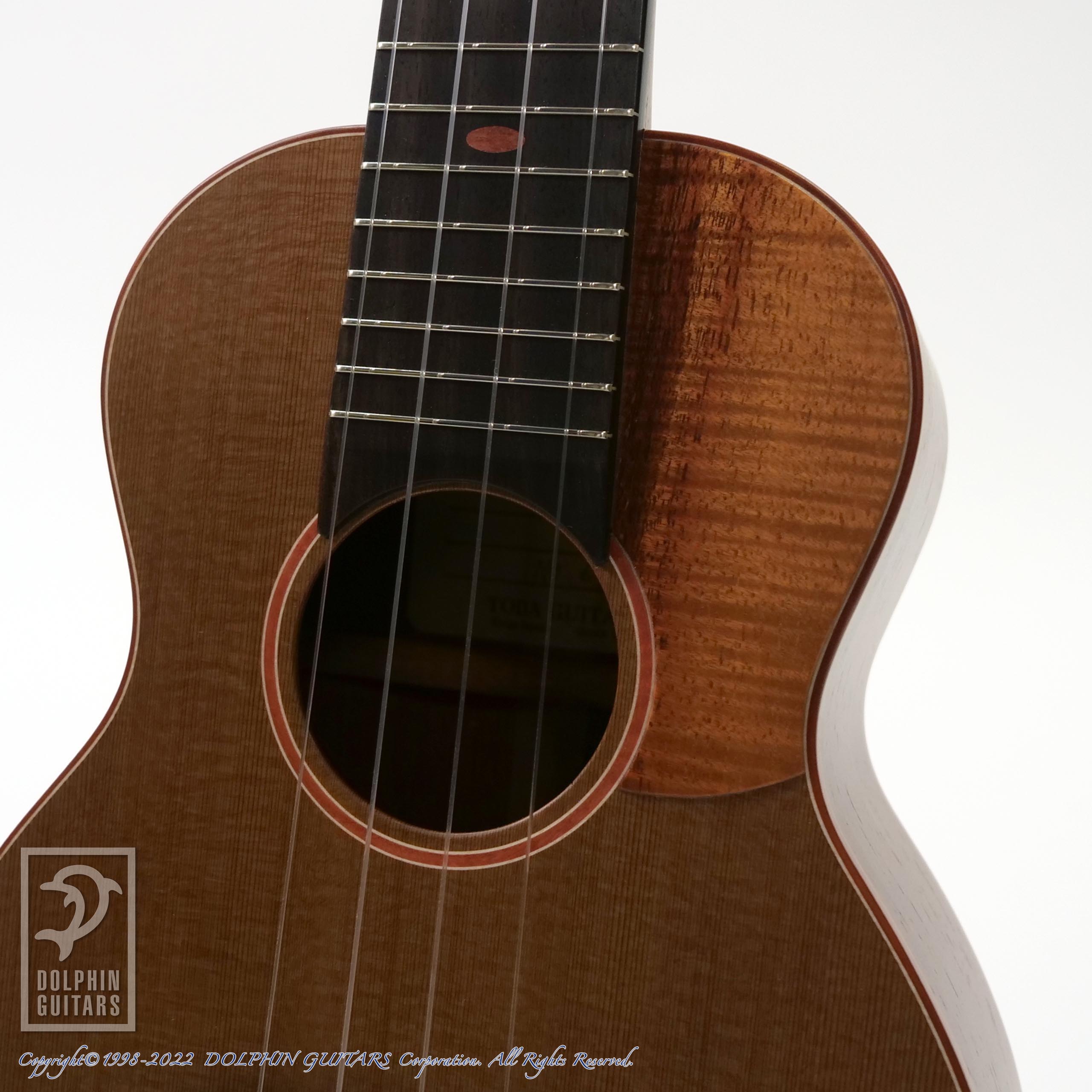 TODA GUITARS VC (Chocolate Cedar & Cocobolo)|ドルフィンギターズ