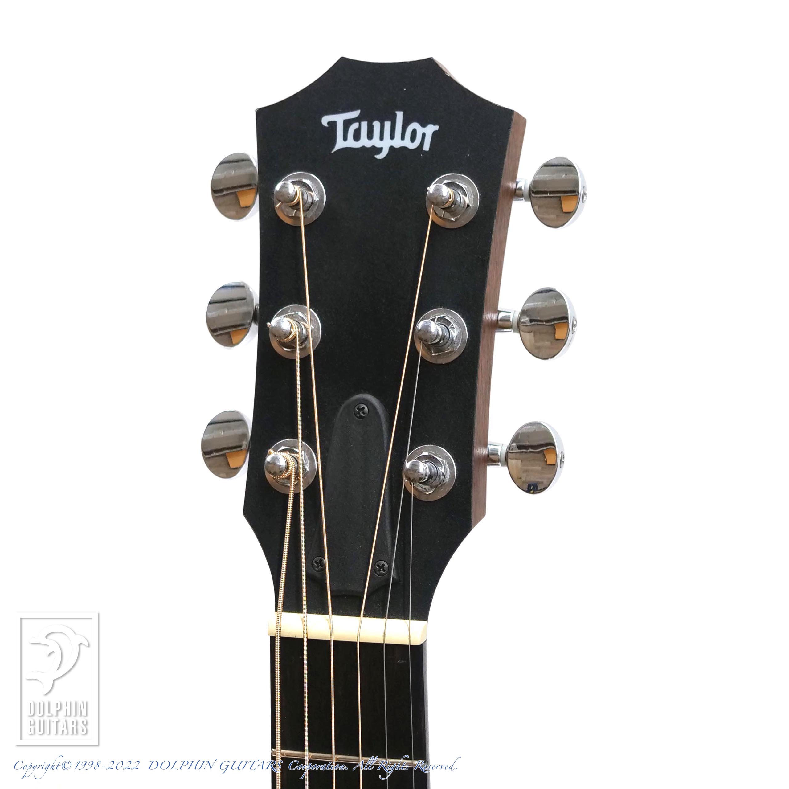 TAYLOR GS Mini|ドルフィンギターズ
