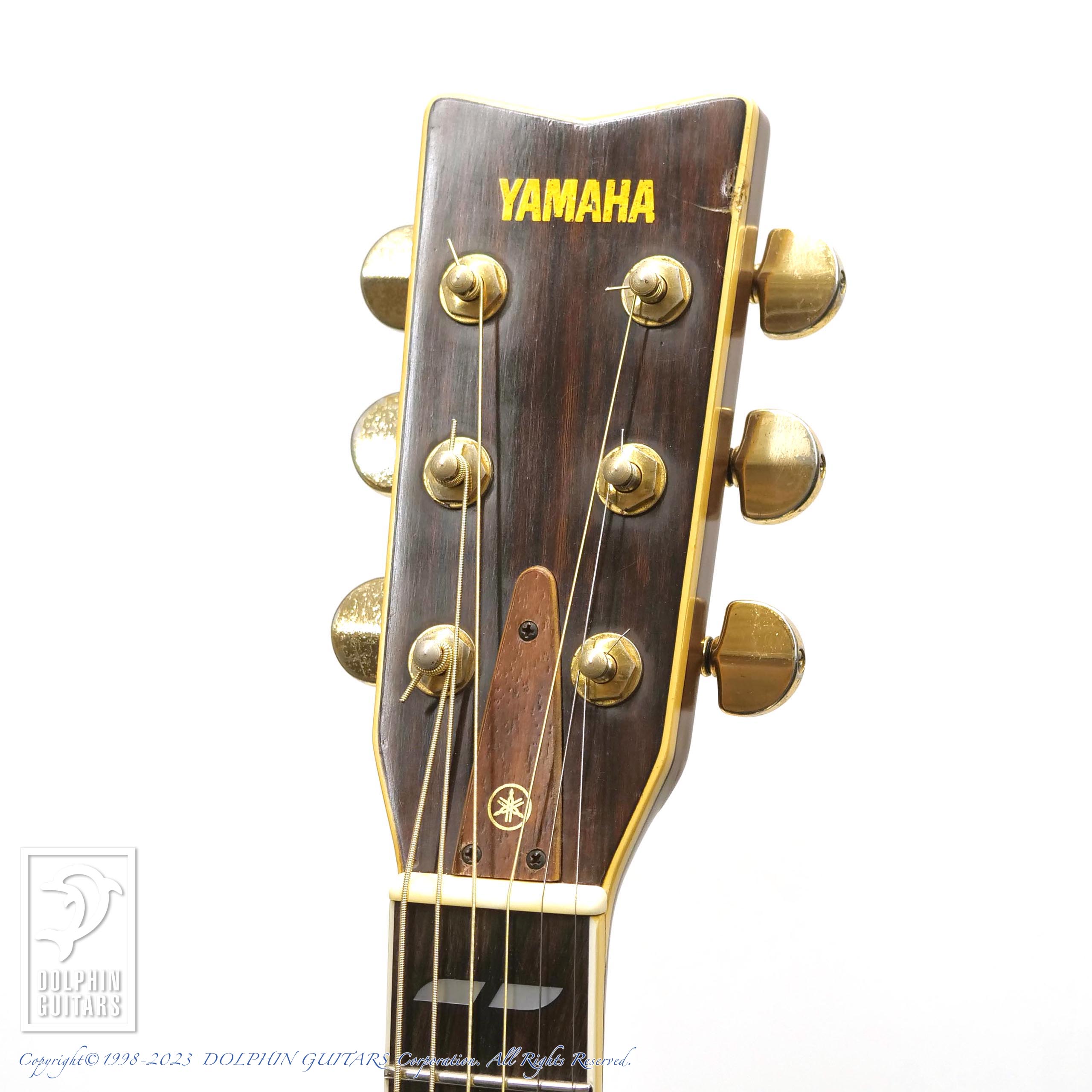 YAMAHA FG-401W|ドルフィンギターズ