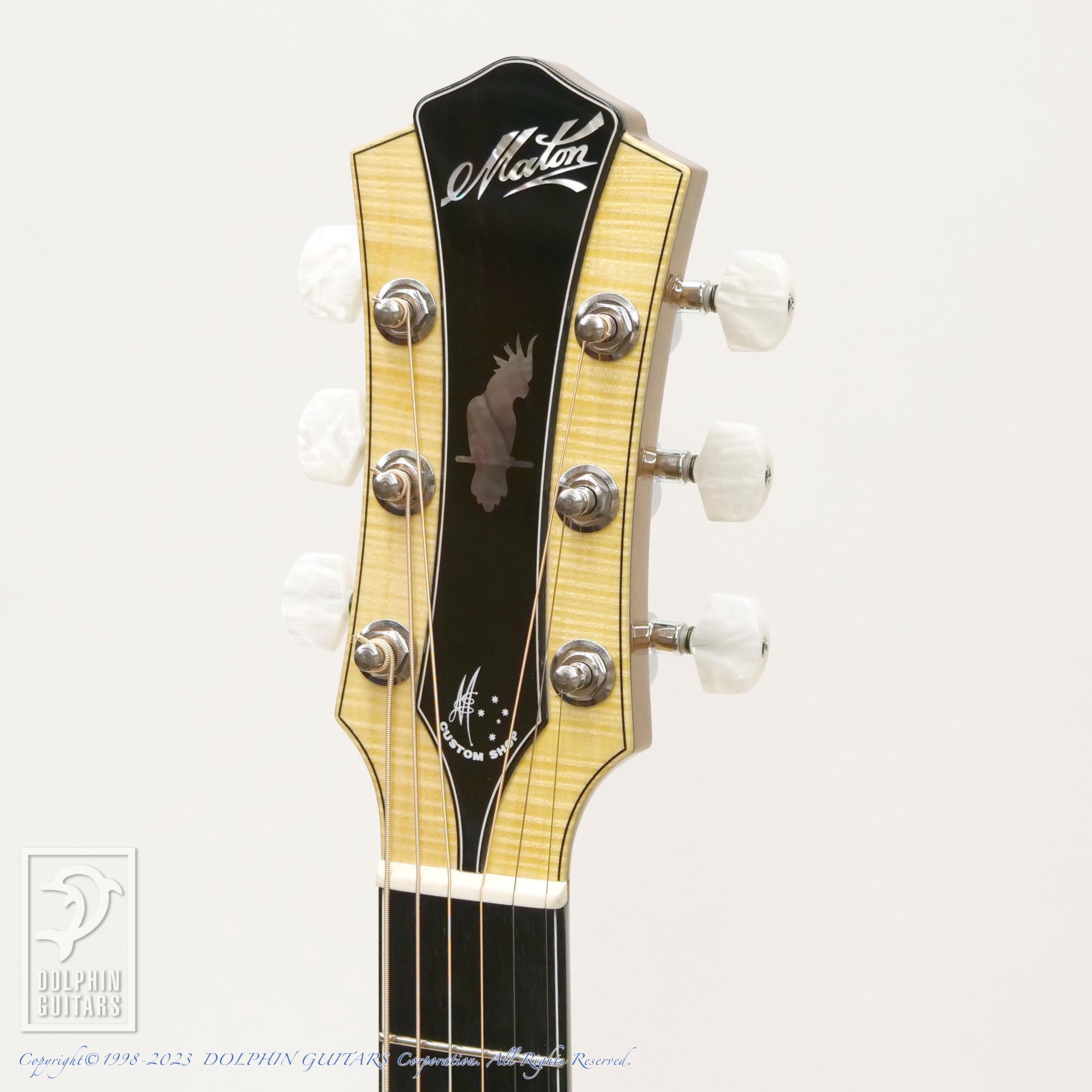 全国送料無料 Martin ギターブルーケース豚鼻鍵付き弦おまけ - 楽器・機材