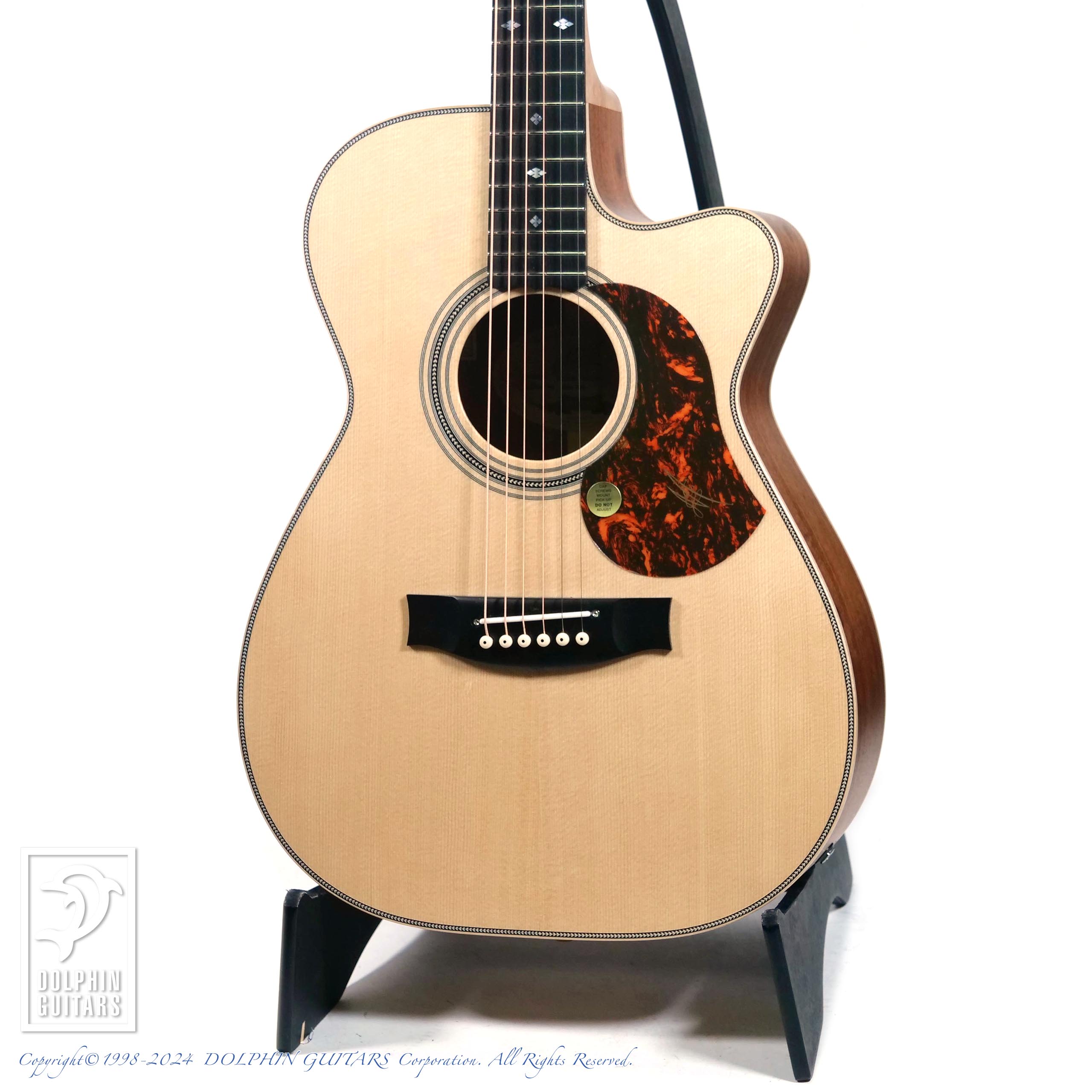MATON EBG808C Artist 2024 Limited Model|ドルフィンギターズ