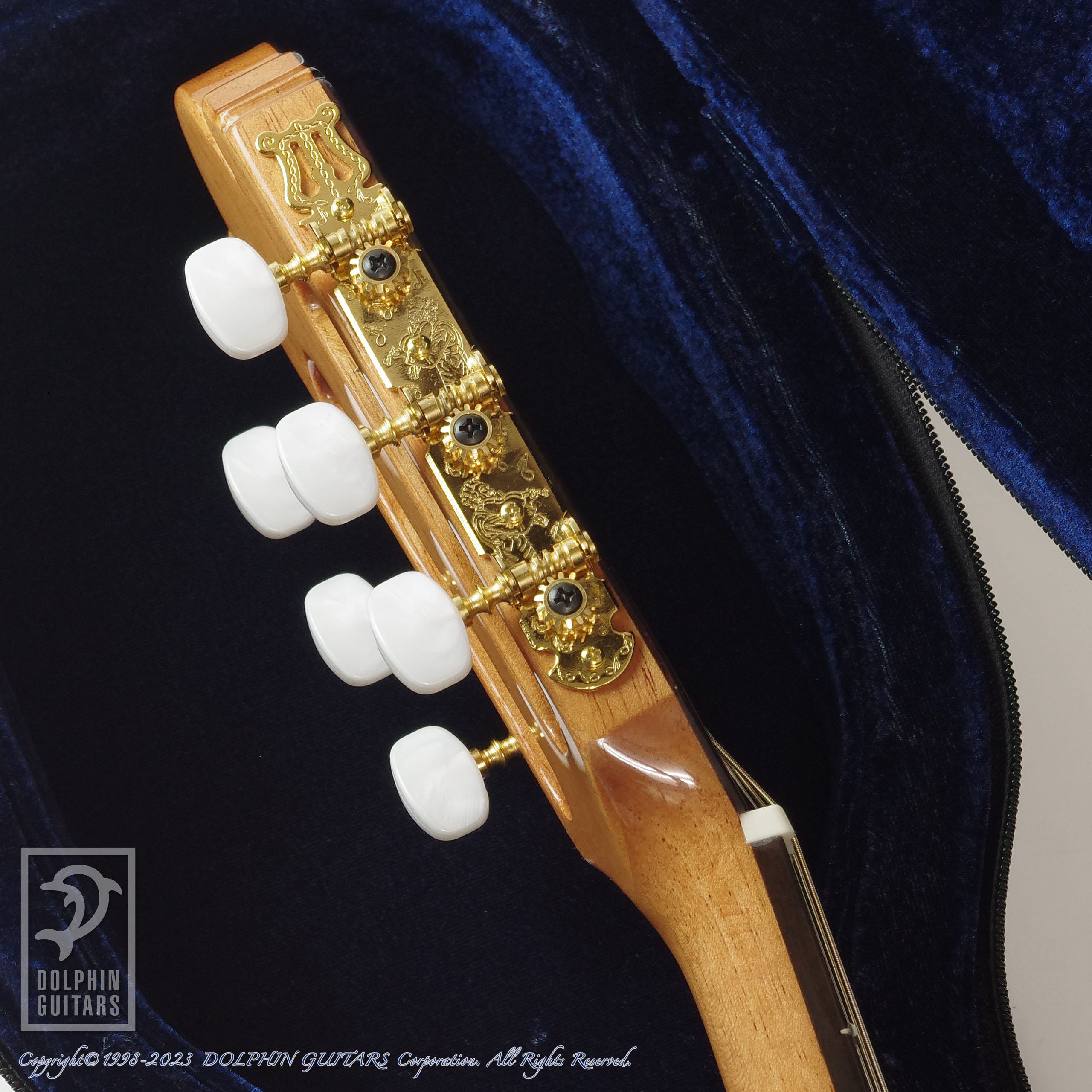 ANTONIO SANCHEZ EG-5 NTE (Nylon Strings)|ドルフィンギターズ