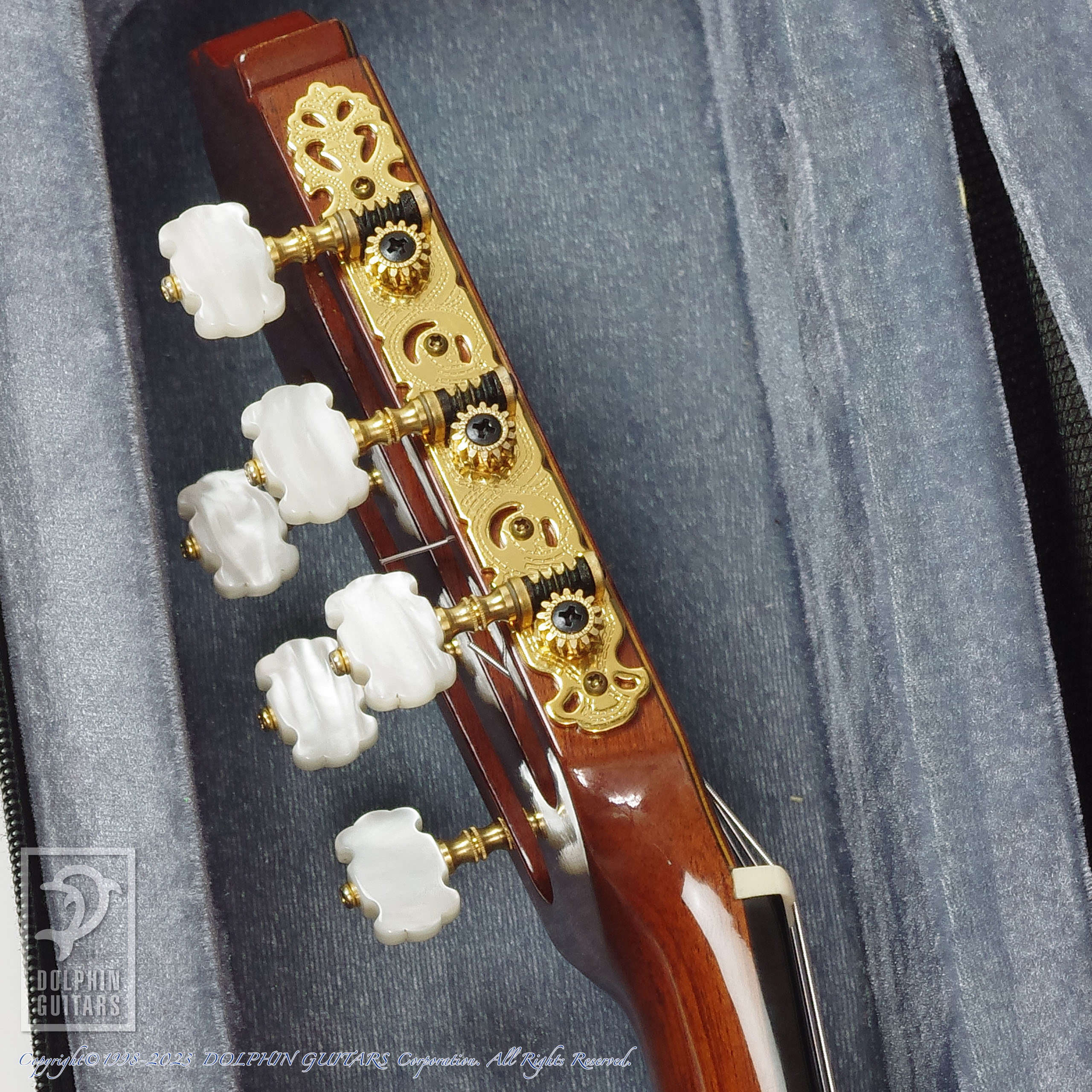 YAMAHA GC-7 杉 (Nylon Strings)|ドルフィンギターズ