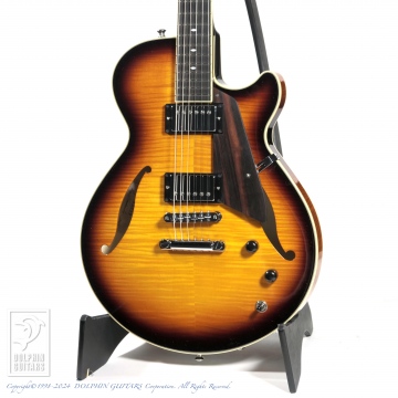 172 Semi Hollow (TCB)