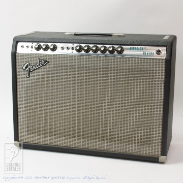 495 Vibrolux Reverb Sliver Face