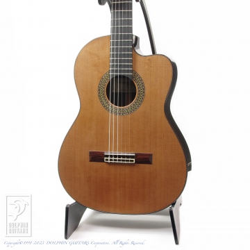 350 HM-2 Cutaway 杉 (Nylon Strings)