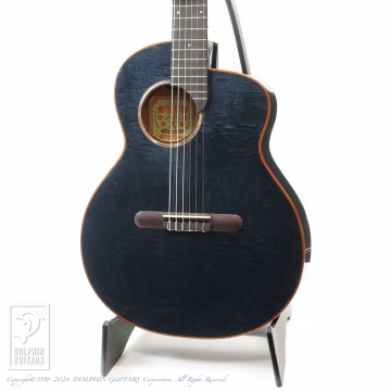 298 aNN-LN77E (Nylon Strings)