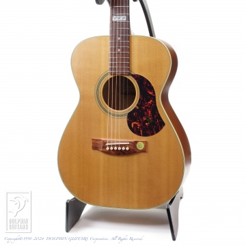 166 EBG808TE (Tommy Emmanuel Signature)