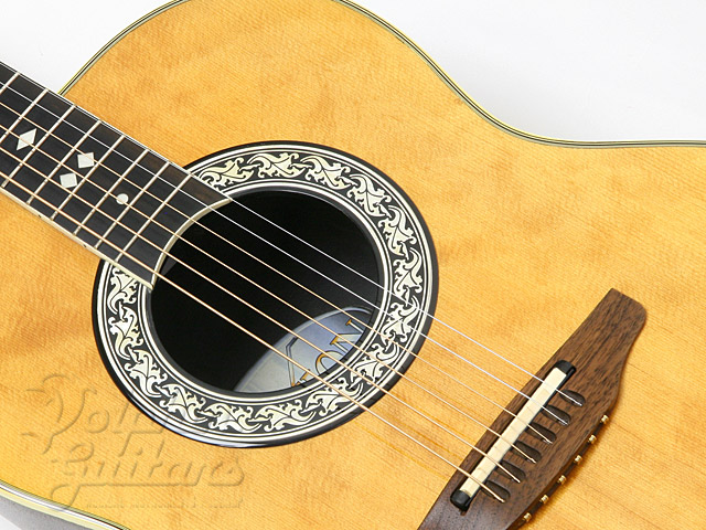 OVATION Glen Campbell Artist 1627|ドルフィンギターズ