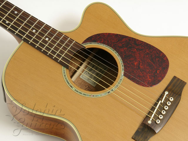 TAKAMINE PTU-709|ドルフィンギターズ