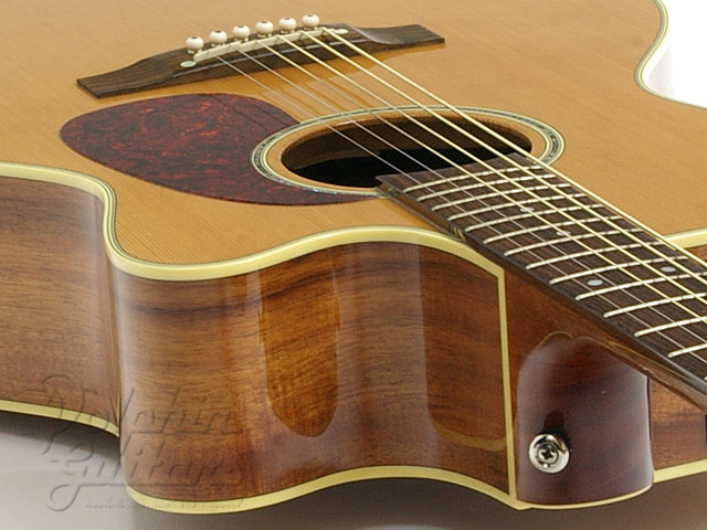 TAKAMINE PTU-709|ドルフィンギターズ