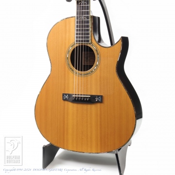 86 C-10 Jacaranda (Rose Lady)