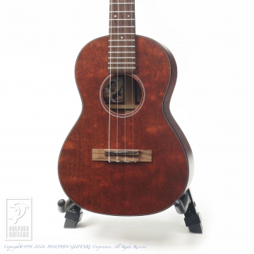 21 1T IZ Tenor Uke