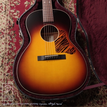 293 WL-14L (Ladder-Bracing & T-Bar)