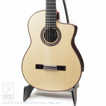 261 GK Pro Negra (Nylon Strings)