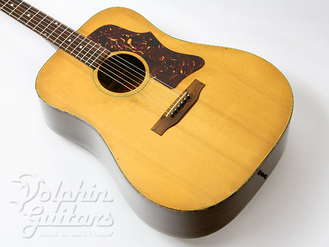 Gibson J-50 Deluxe |ドルフィンギターズ