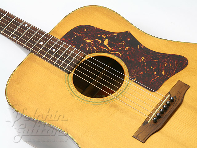 Gibson J-50 Deluxe |ドルフィンギターズ