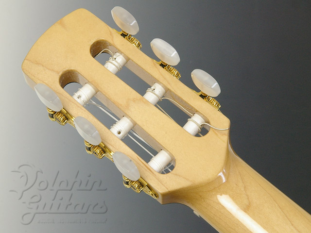 CARRUTHERS GUITAR ACN [Acoustic Electric Nylon String]|ドルフィン