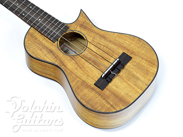 ASTURIAS Solo Ukulele SC Koa (Concert / Tenor Neck)|ドルフィンギターズ