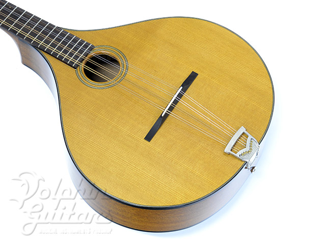 Fylde Long Scale Arch Top Bouzouki ドルフィンギターズ