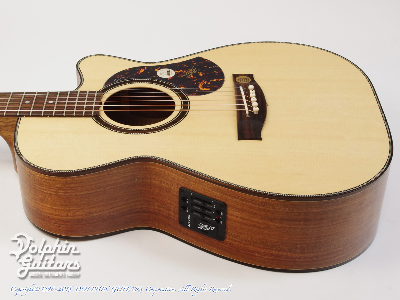 MATON The 70th Anniversary Edition 808C|ドルフィンギターズ