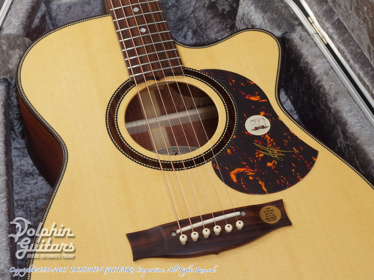 MATON The 70th Anniversary Edition 808C|ドルフィンギターズ