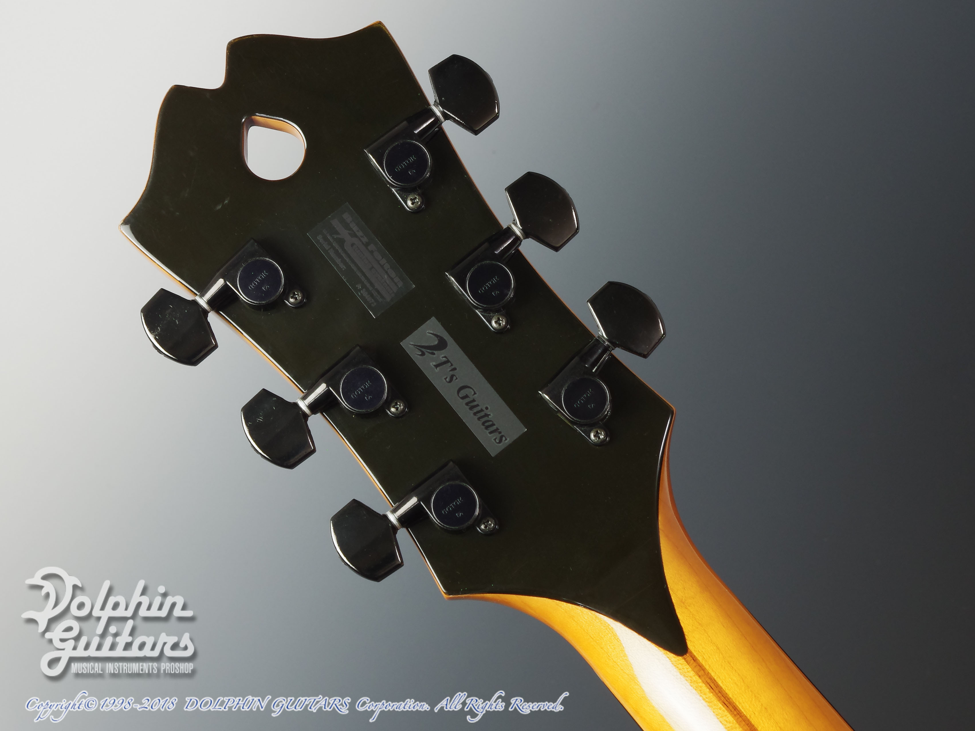 Jazz Guitar Designs Gig Master (Jazz Guitar Designs) |ドルフィン 