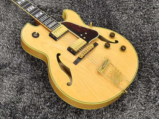 PM-120 Pat Metheny Signature Model|ドルフィンギターズ