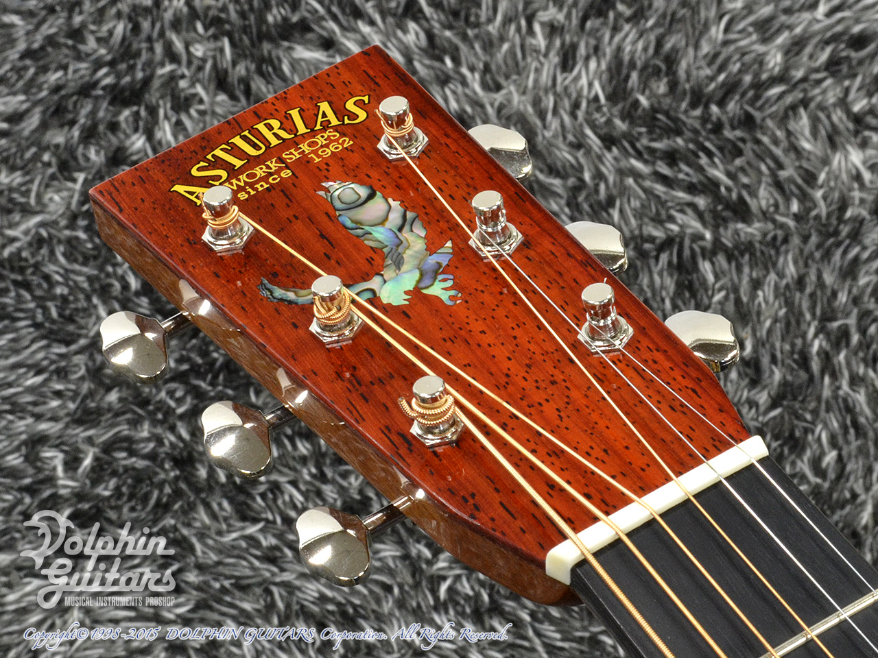 ASTURIAS Red Hawk 40th Anniversary Limited Edition|ドルフィンギターズ