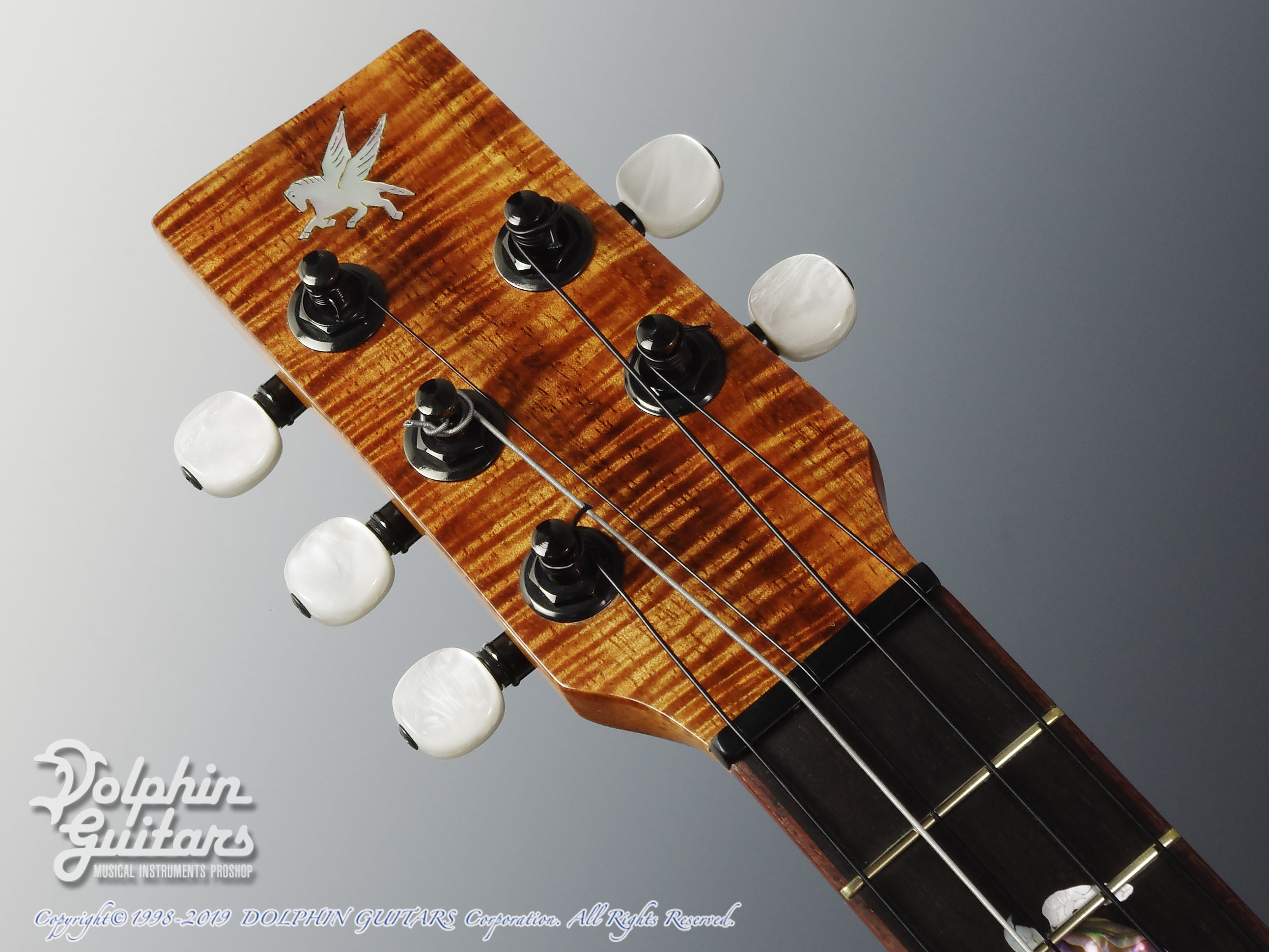 Pegasus Guitars Tenor 5-String (Hawaiian Koawood)|ドルフィンギターズ