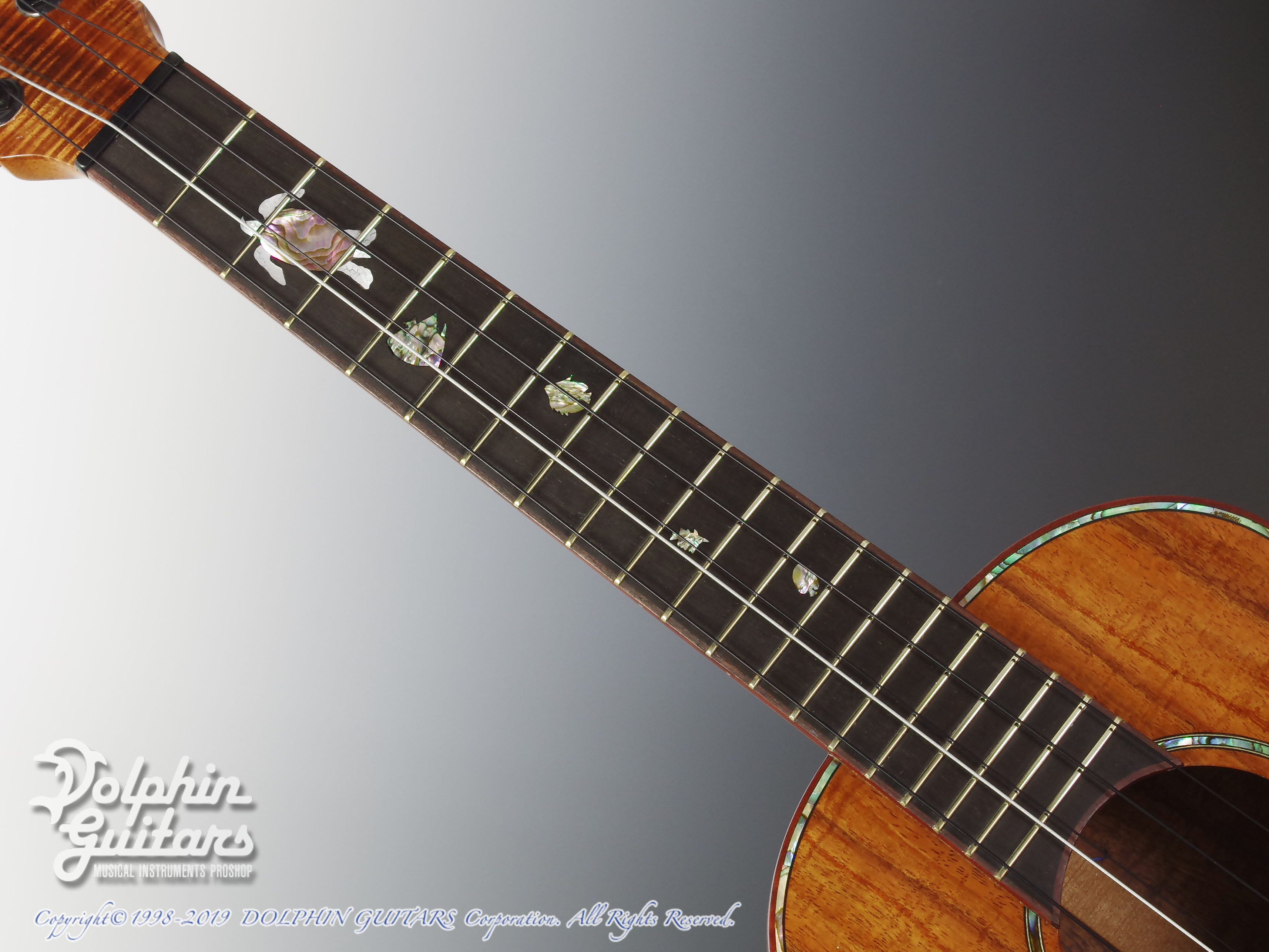 Pegasus Guitars Tenor 5-String (Hawaiian Koawood)|ドルフィンギターズ