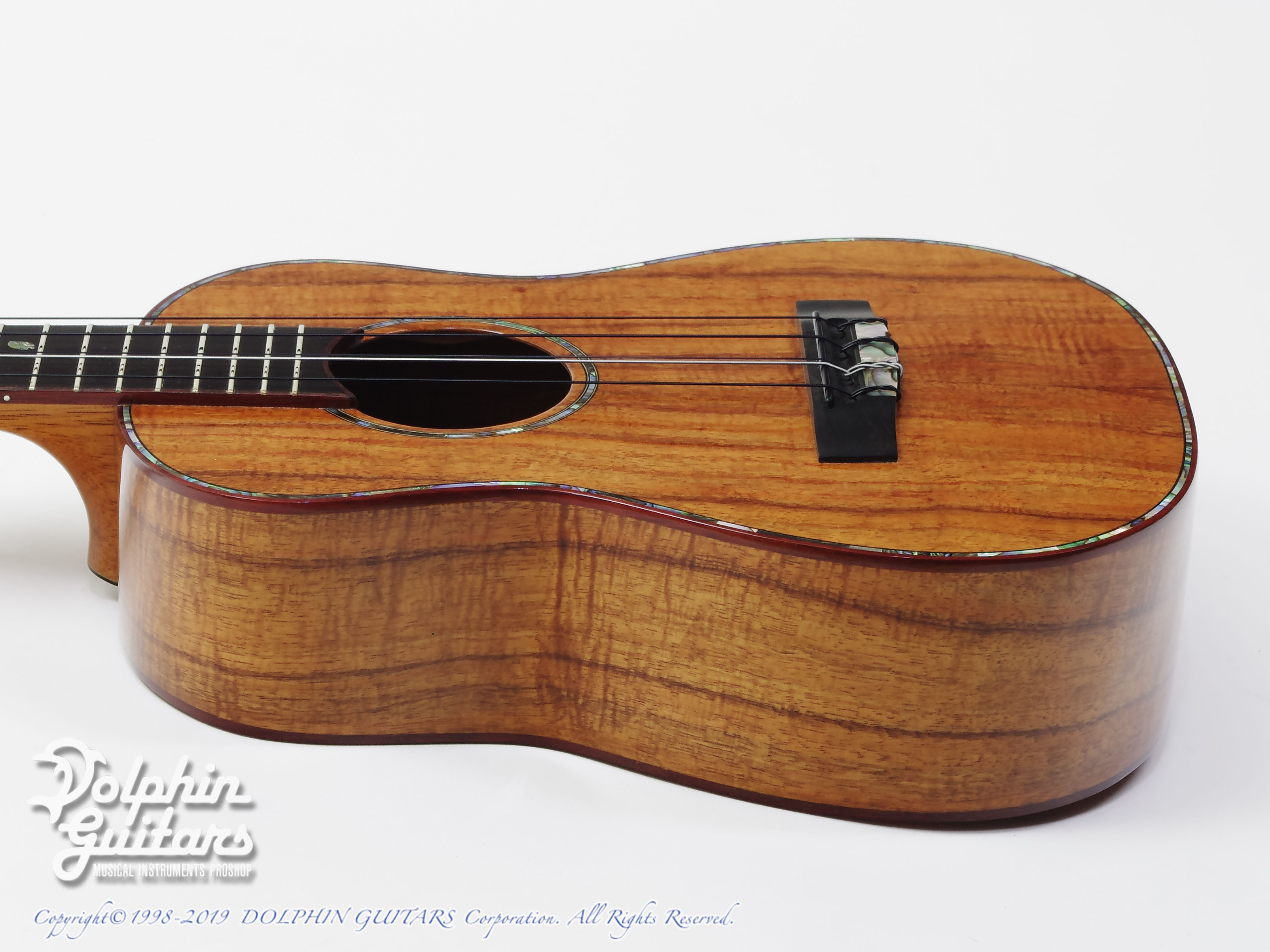 Pegasus Guitars Tenor 5-String (Hawaiian Koawood)|ドルフィンギターズ