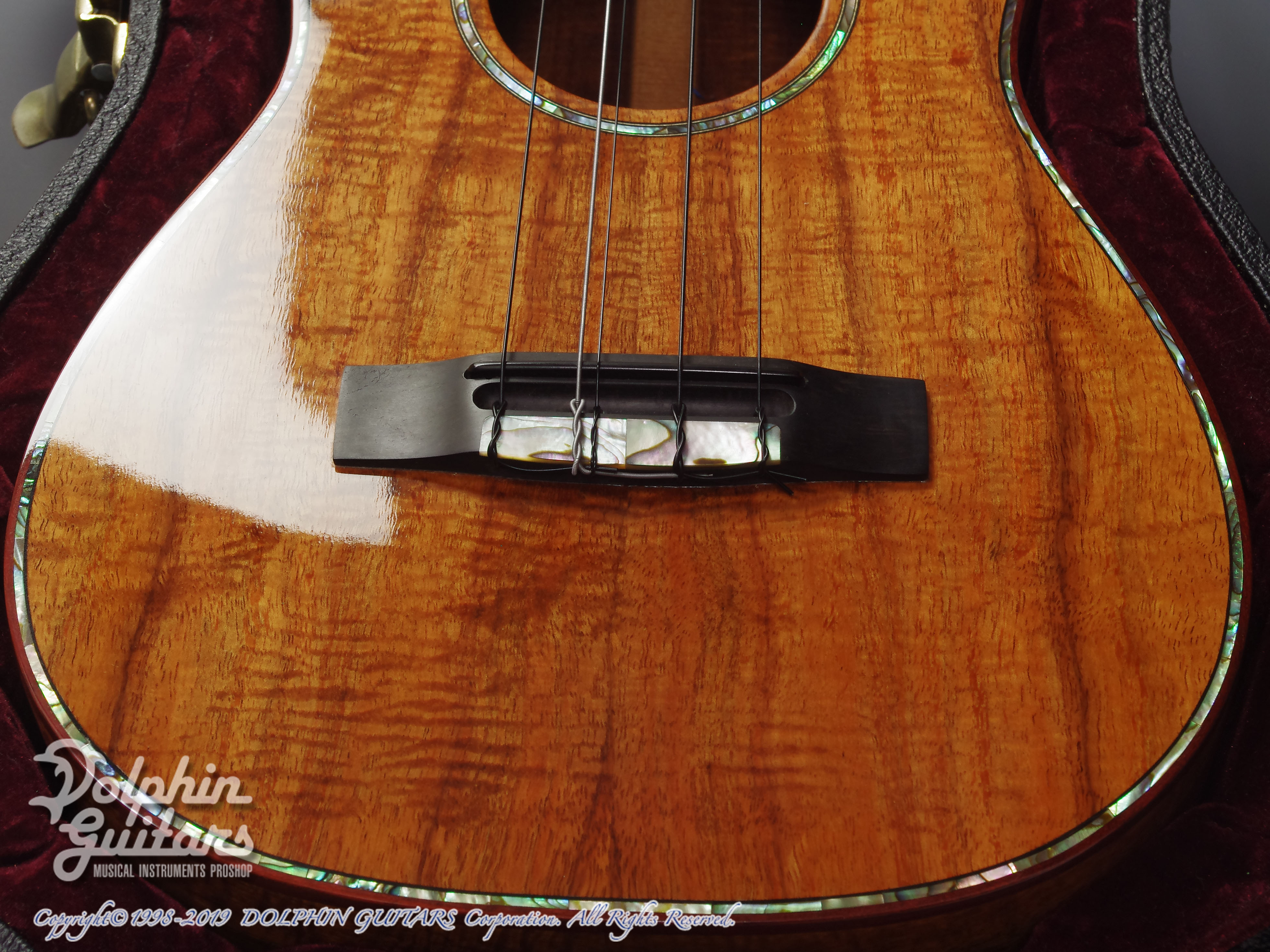 Pegasus Guitars Tenor 5-String (Hawaiian Koawood)|ドルフィンギターズ