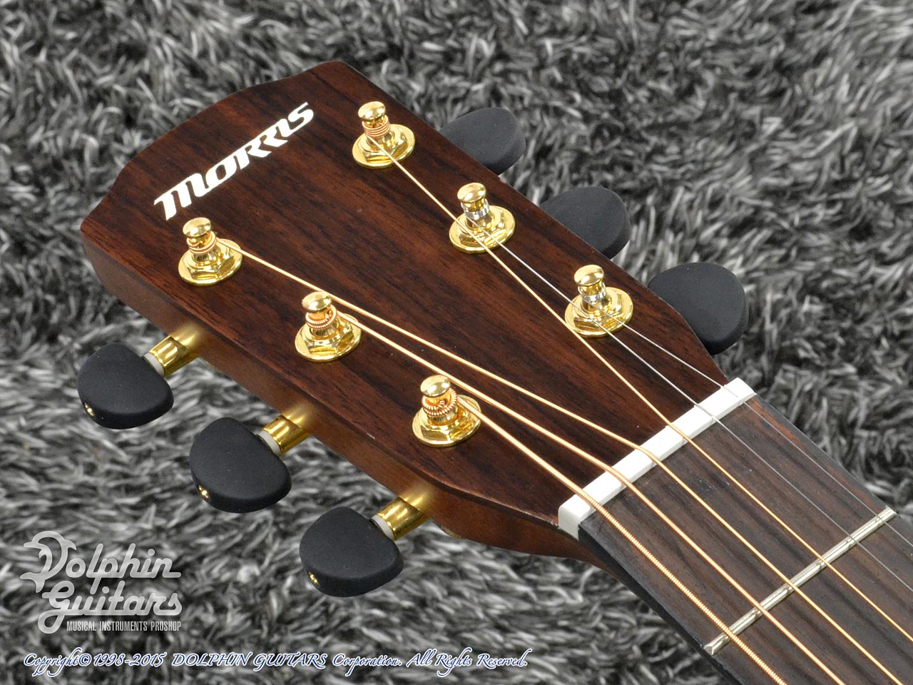 MORRIS F-701C (Rosewood)|ドルフィンギターズ