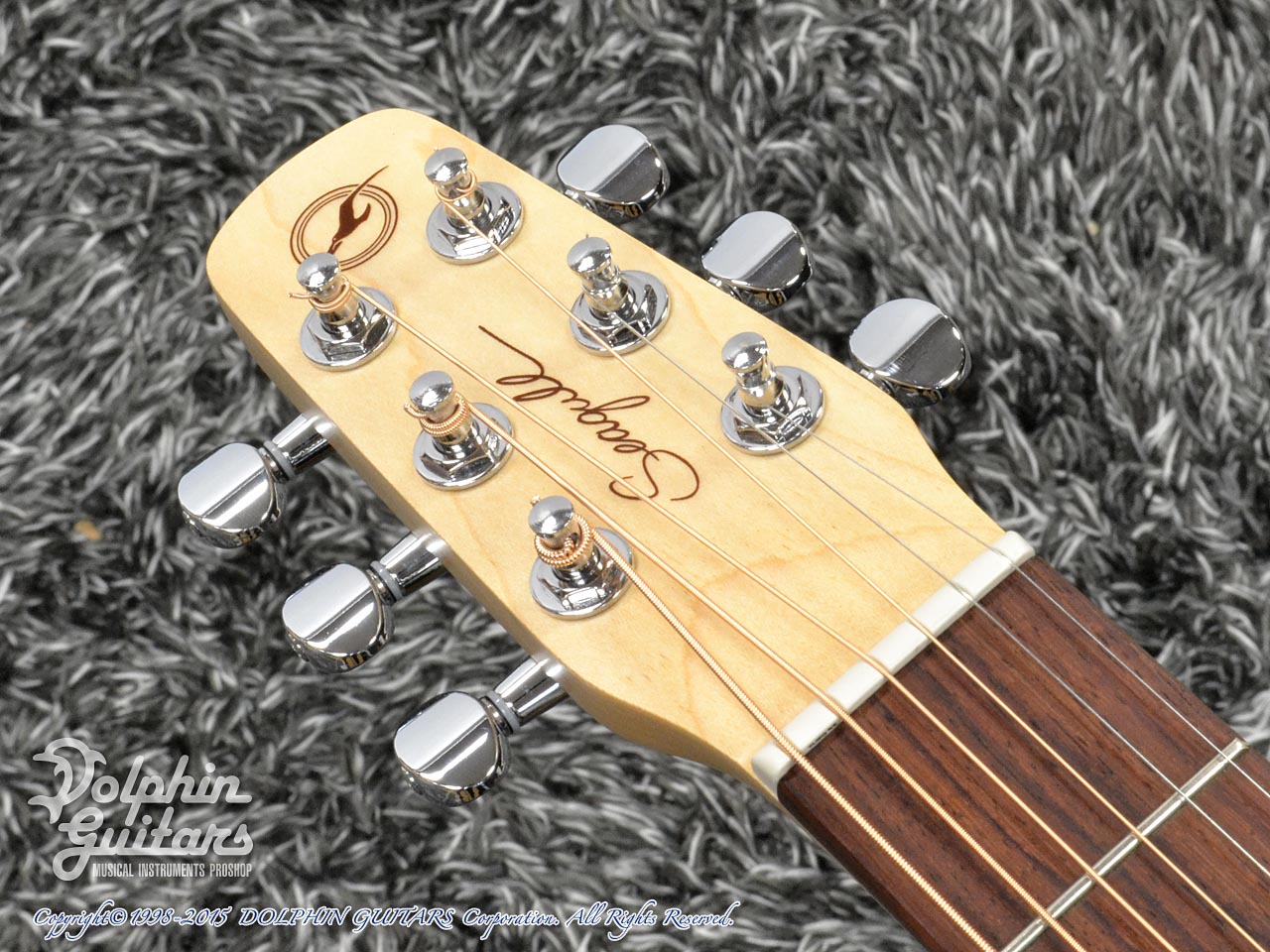 Seagull (Canada) Excursion Natural Solid Spruce Grand SG|ドルフィンギターズ