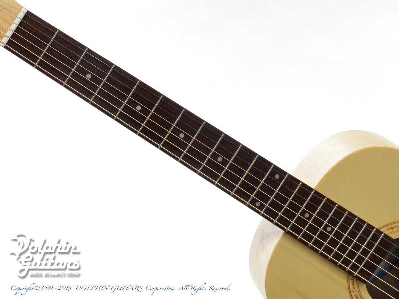 Seagull (Canada) Excursion Natural Solid Spruce Grand SG|ドルフィンギターズ