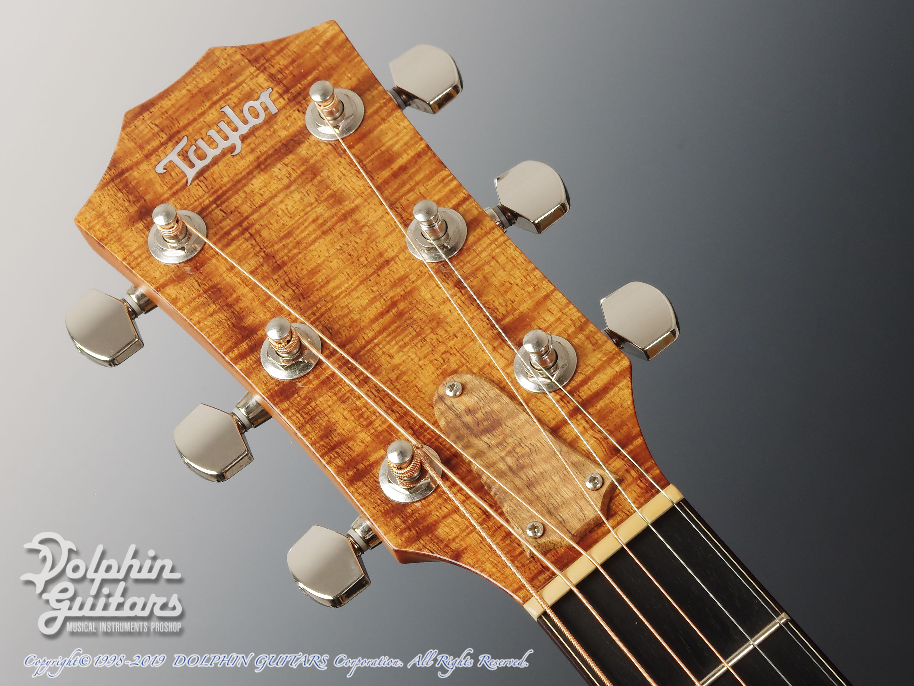 TAYLOR Custom GC-ce Koa|ドルフィンギターズ