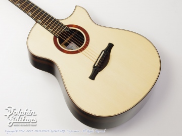 SJ Cutaway Fanfret The Knot 